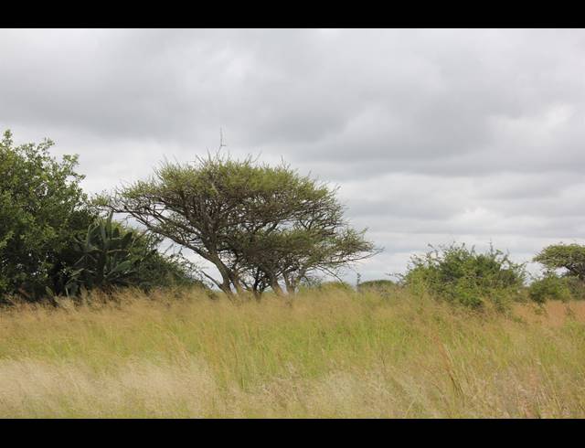 23HA VACANT LAND FOR SALE IN BENDOR